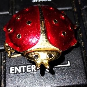Exquisite vintage red ladybug brooch